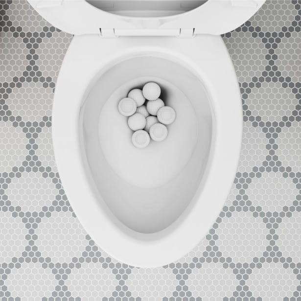 Champion toilet
